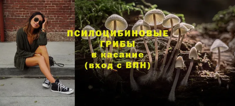 Псилоцибиновые грибы Magic Shrooms  Саки 